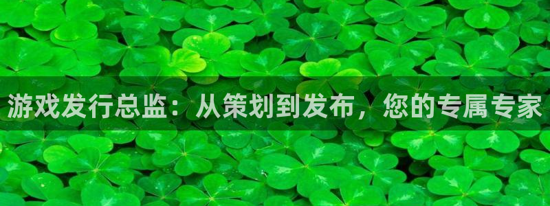 新宝GG官网注册登录官网：游戏发行总监：从策划到发布，您的专属专家