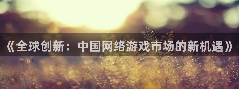 新宝GG官网注册方法有哪些软件：《全球创新：中国网络游戏市场的新机遇》