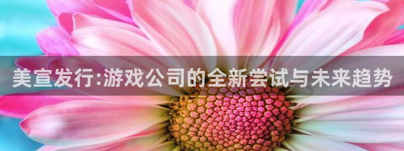 新宝GG官网是赌博么：美宣发行:游戏公司的全新尝试与未来趋势