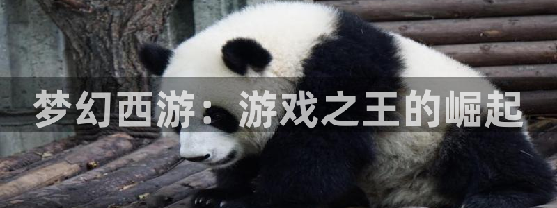 陕西新宝GG子文化创意是什么