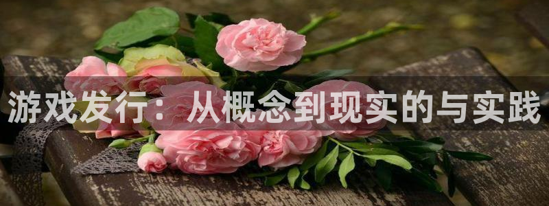 新宝GG子公司怎么样知乎