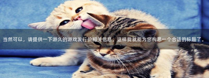 新宝GG电子商务有限公司地址