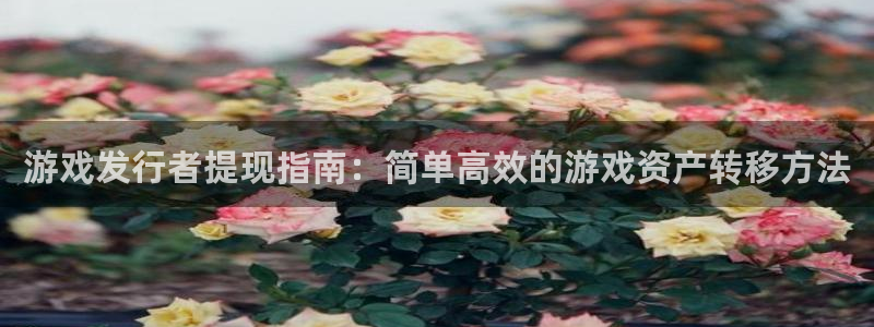 新宝GG子公司怎么样知乎：游戏发行者提现指南：简单高效的游戏资产转移方法