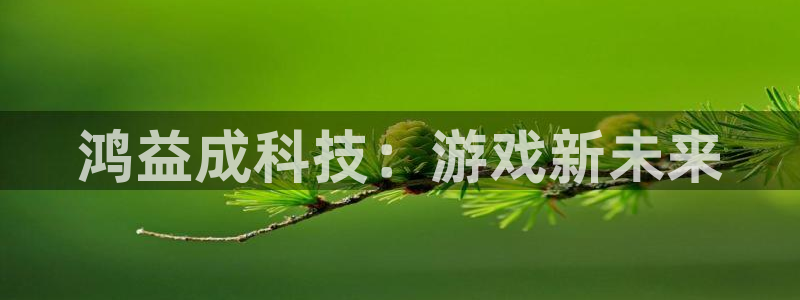 陕西新宝GG子文化公司加我qq：鸿益成科技：游戏新未来