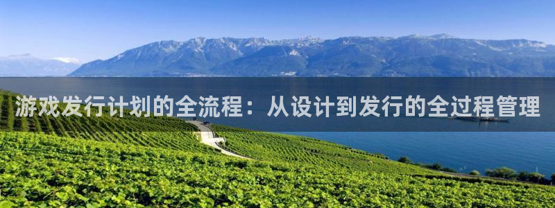 新宝GG子公司怎么样：游戏发行计划的全流程：从设计到发行的全过程管理