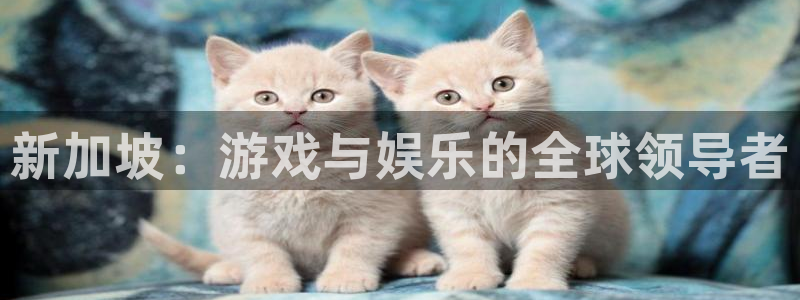 新宝GG官网登录注册失败怎么回事：新加坡：游戏与娱乐的全球领导者