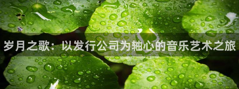新宝GG主管：岁月之歌：以发行公司为轴心的音乐艺术之旅