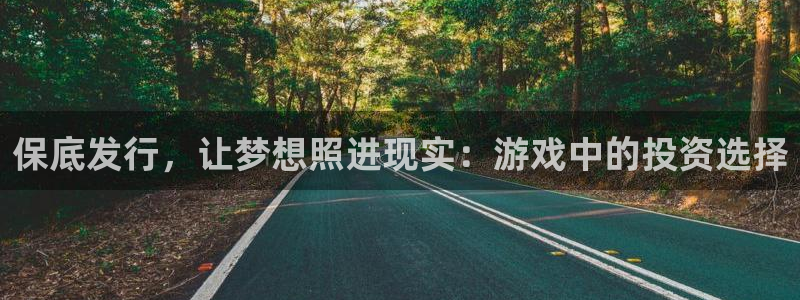 新宝GG官网代理注册不了：保底发行，让梦想照进现实：游戏中的投资选择