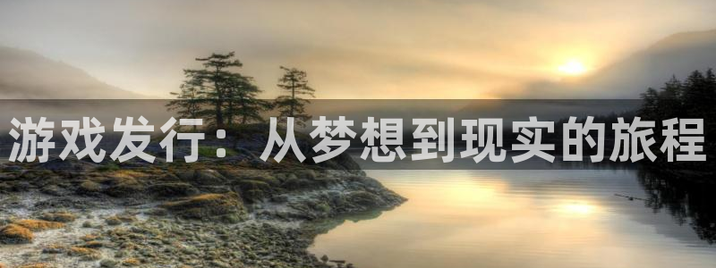 广州新宝GG运动服：游戏发行：从梦想到现实的旅程