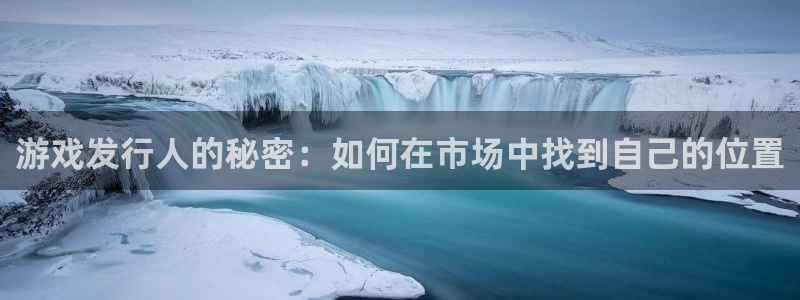 新宝GG官网注册平台登录入口：游戏发行人的秘密：如何在市场中找到自己的位置