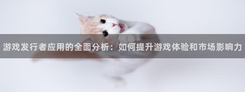 新宝GG集团品牌策划机构：游戏发行者应用的全面分析：如何提升游戏体验和市场影响力