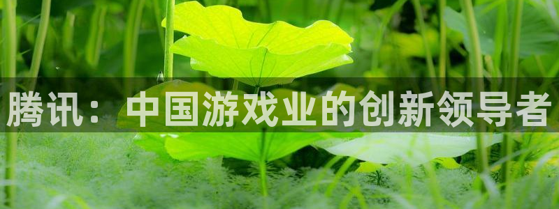 新宝GG集团董事长刘一辰简历