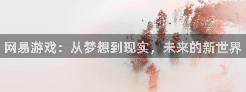 新宝GG官网登录注册账号失败怎么办：网易游戏：从梦想到现实，未来的新世界