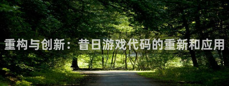 陕西新宝GG子文化创意是干什么的：重构与创新：昔日游戏代码的重新和应用