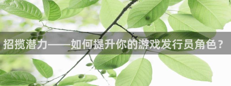 新宝GG官网官网注册账号：招揽潜力——如何提升你的游戏发行员角色？