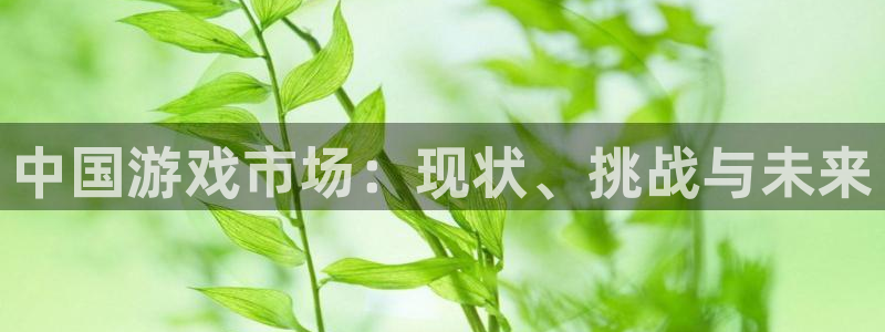 新宝GG官网平台代理开号：中国游戏市场：现状、挑战与未来