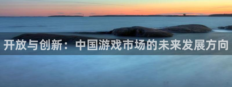 新宝GG智邦(北京)品牌策划有限公司：开放与创新：中国游戏市场的未来发展方向