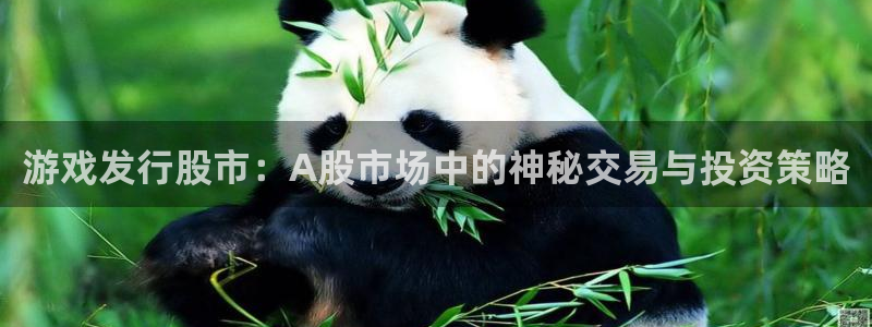 江苏新宝GG智得新材料有限公司：游戏发行股市：A股市场中的神秘交易与投资策略