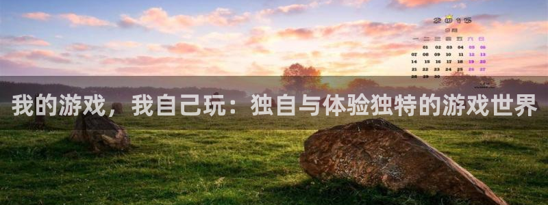 新宝GG子公司怎么样知乎：我的游戏，我自己玩：独自与体验独特的游戏世界