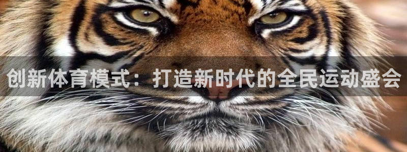 xc体育