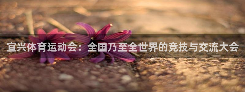 xc体育