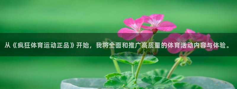 xc体育app官方网站