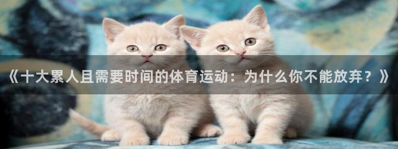 xc体育