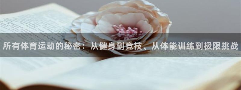 xc体育